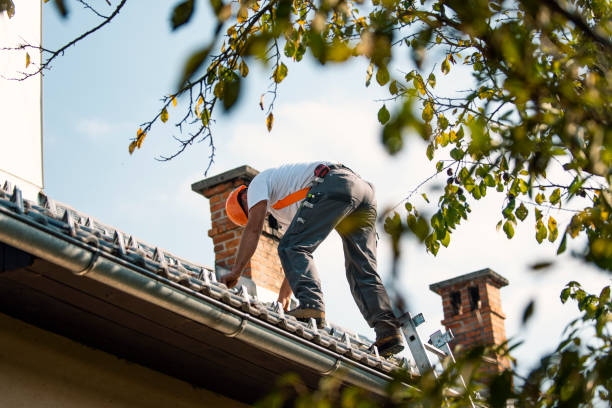 Best Roof Replacement Cost  in Browns Mills, NJ